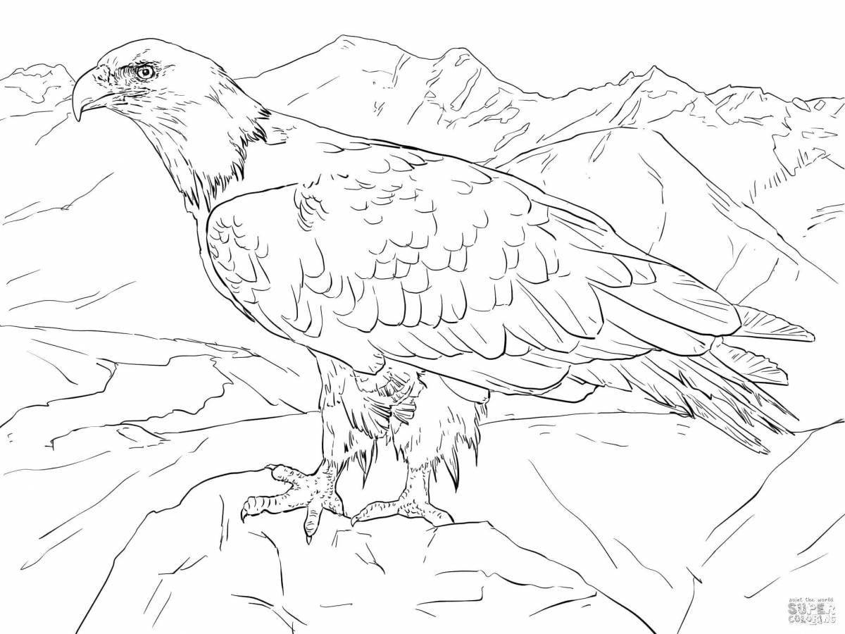 Colorful painted white-tailed eagle coloring book