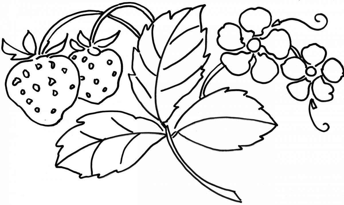 Delightful strawberry drawing coloring book