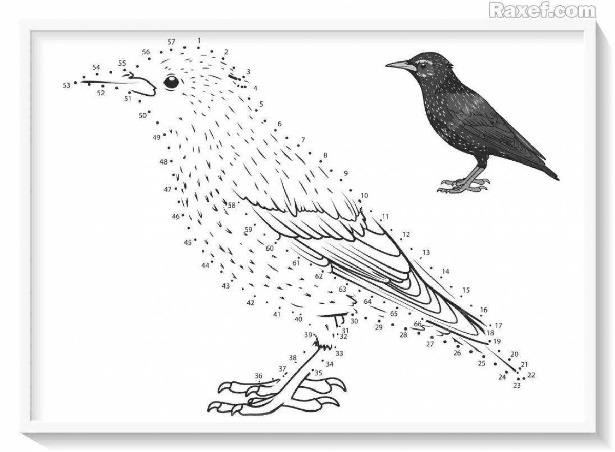 Belov beautiful starlings coloring