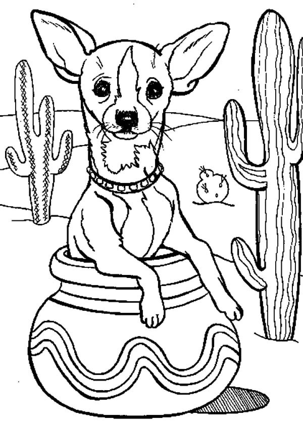 Chihuahua with cacti