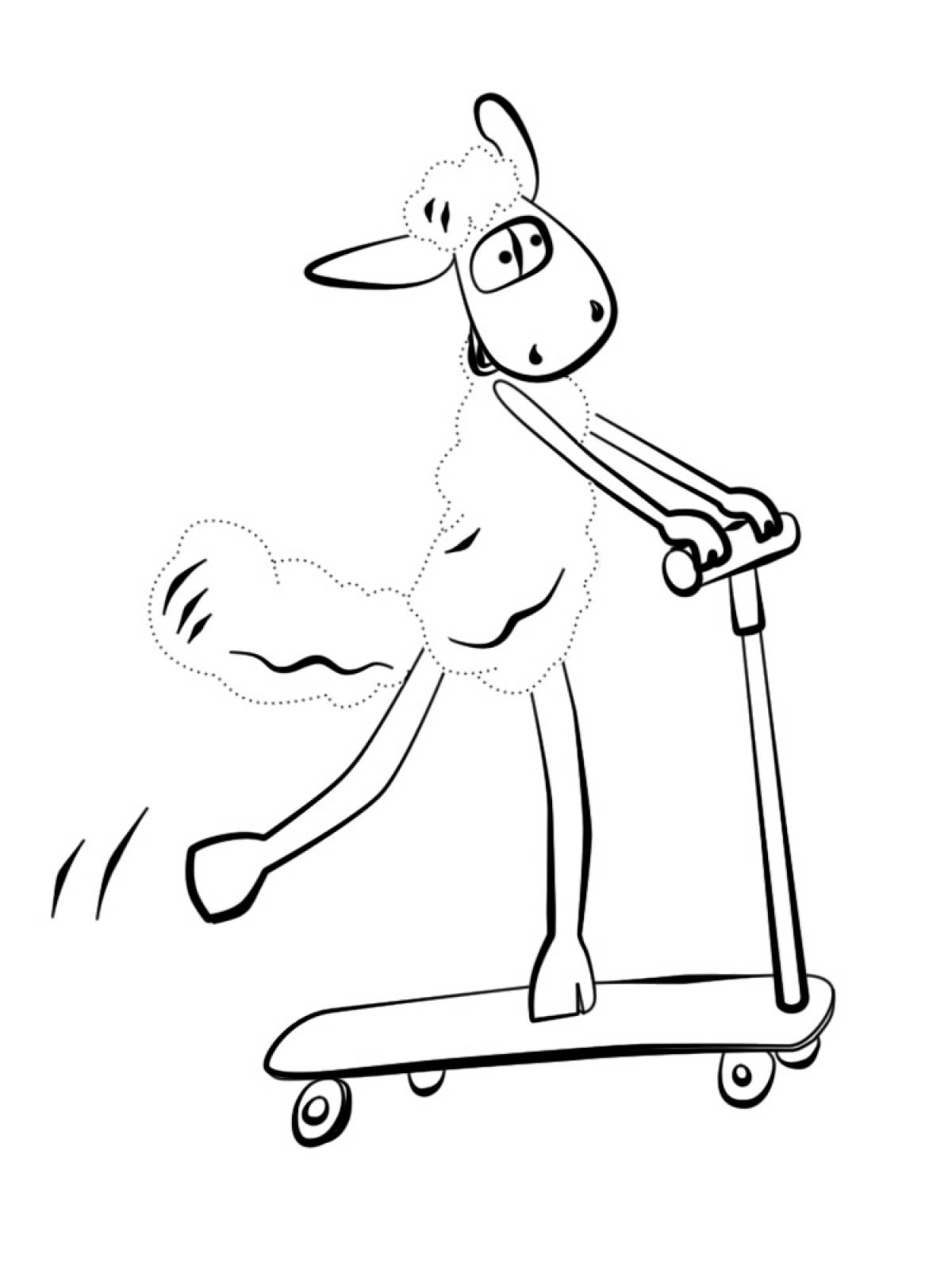 Sheep on a scooter