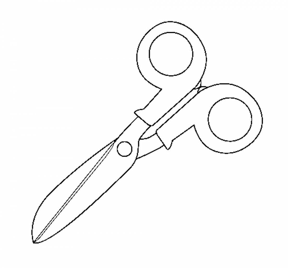 Photo Scissors with handles