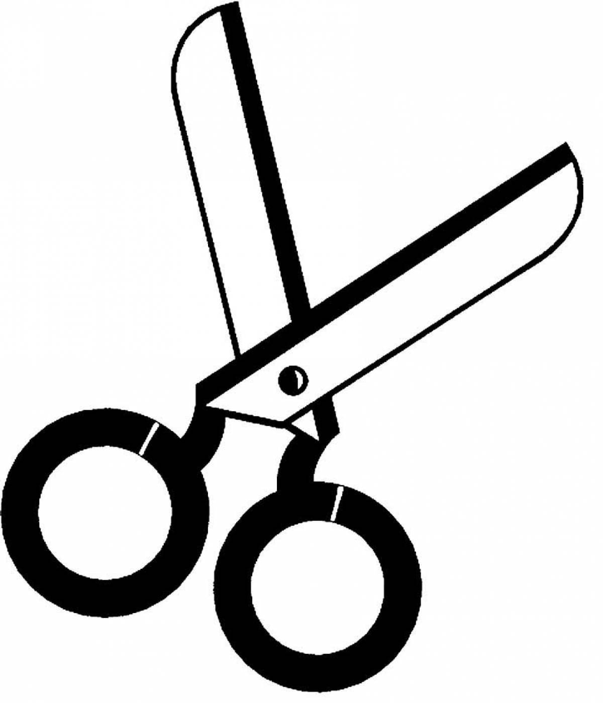 Photo Tailor's scissors