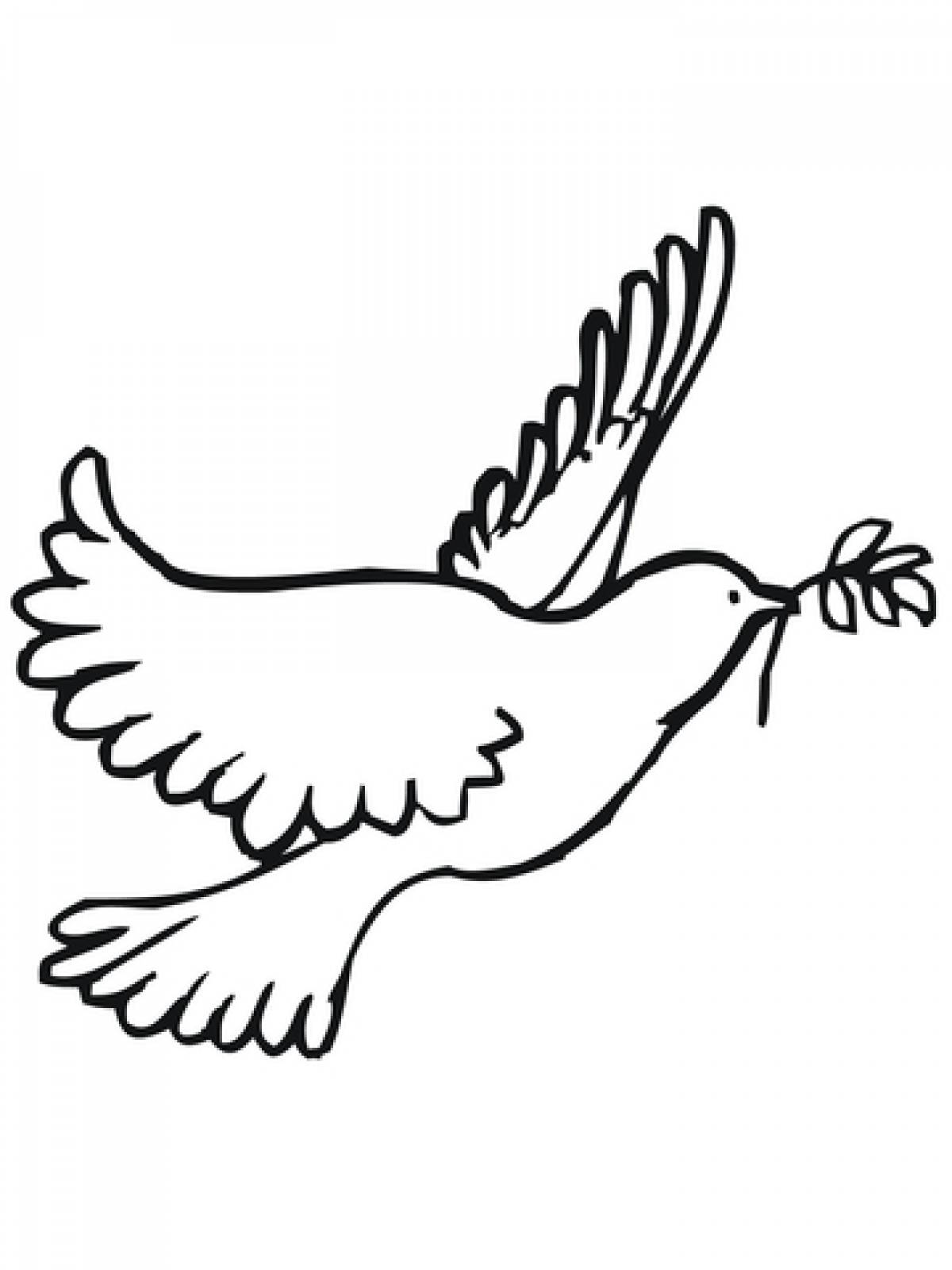Peace dove drawing
