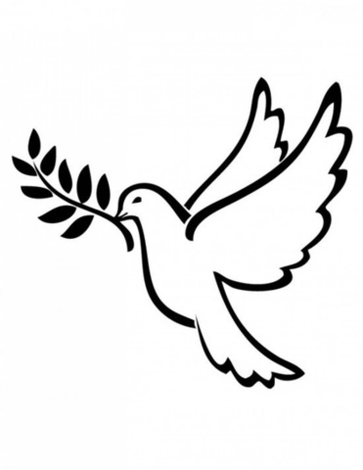 Picture dove of peace