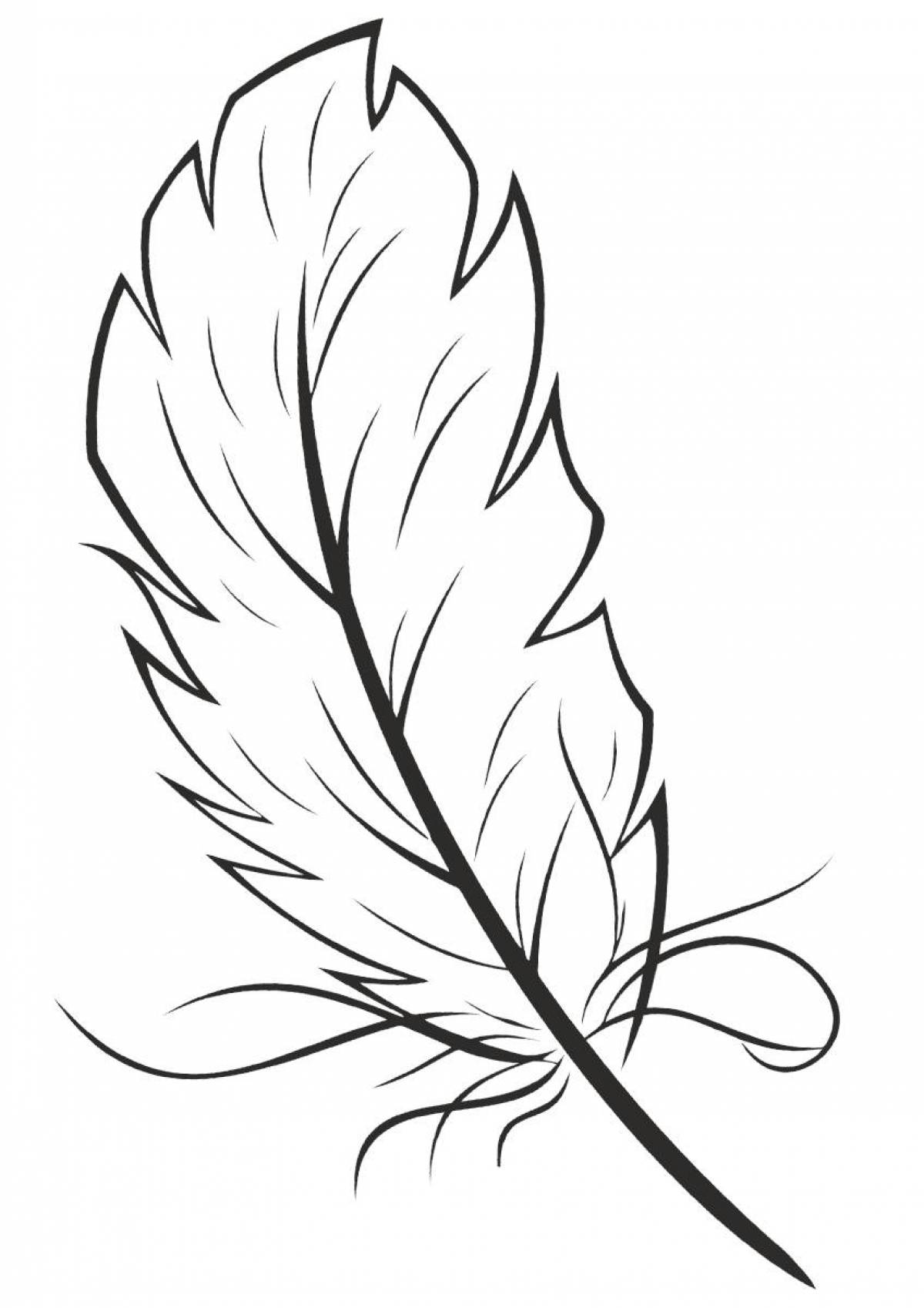 One feather