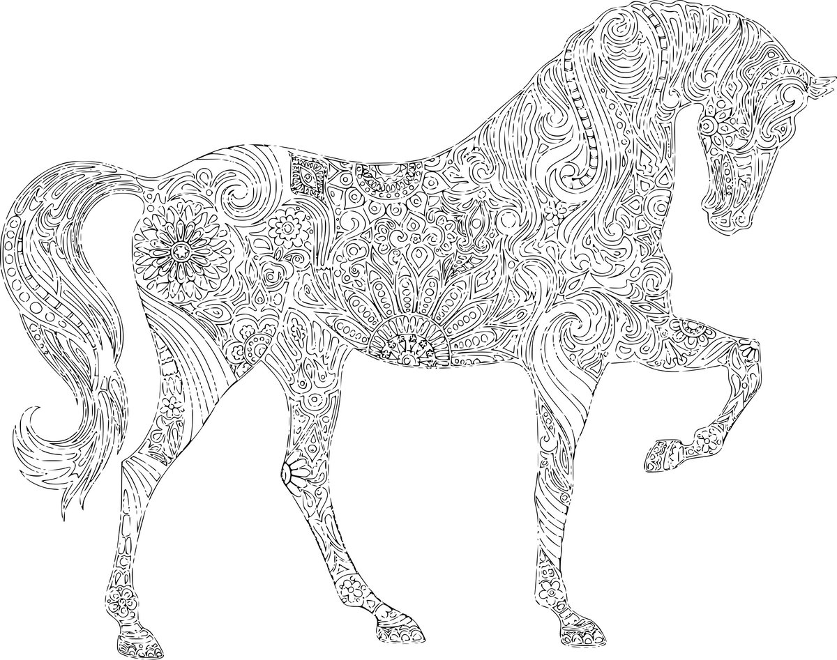 Раскраска для взрослых Лошадь с цветком (BRM28154)