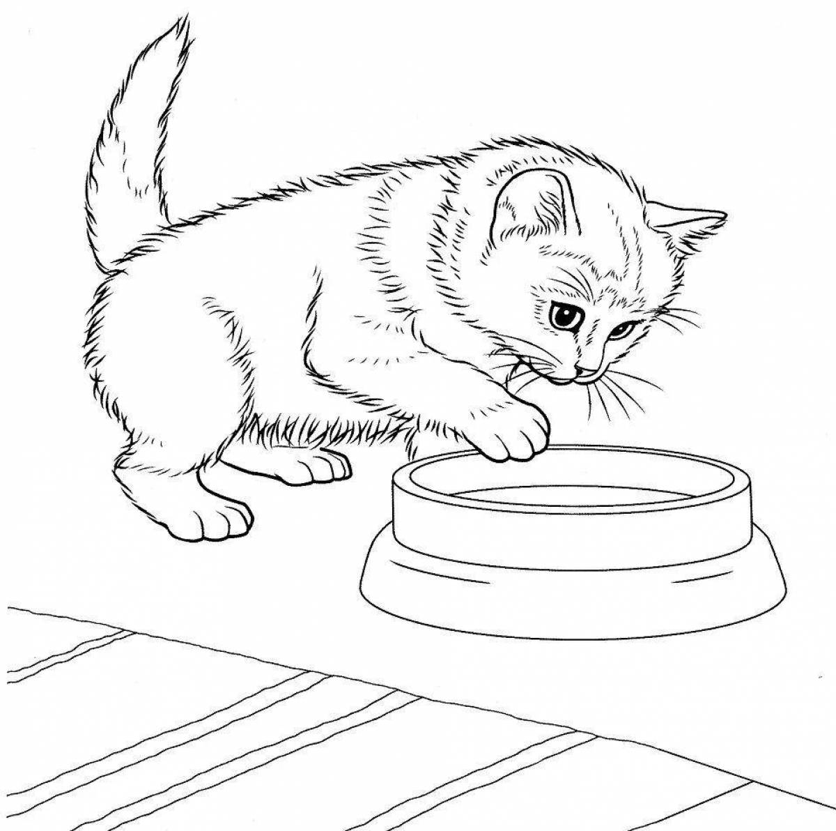 Colorful kitten coloring page