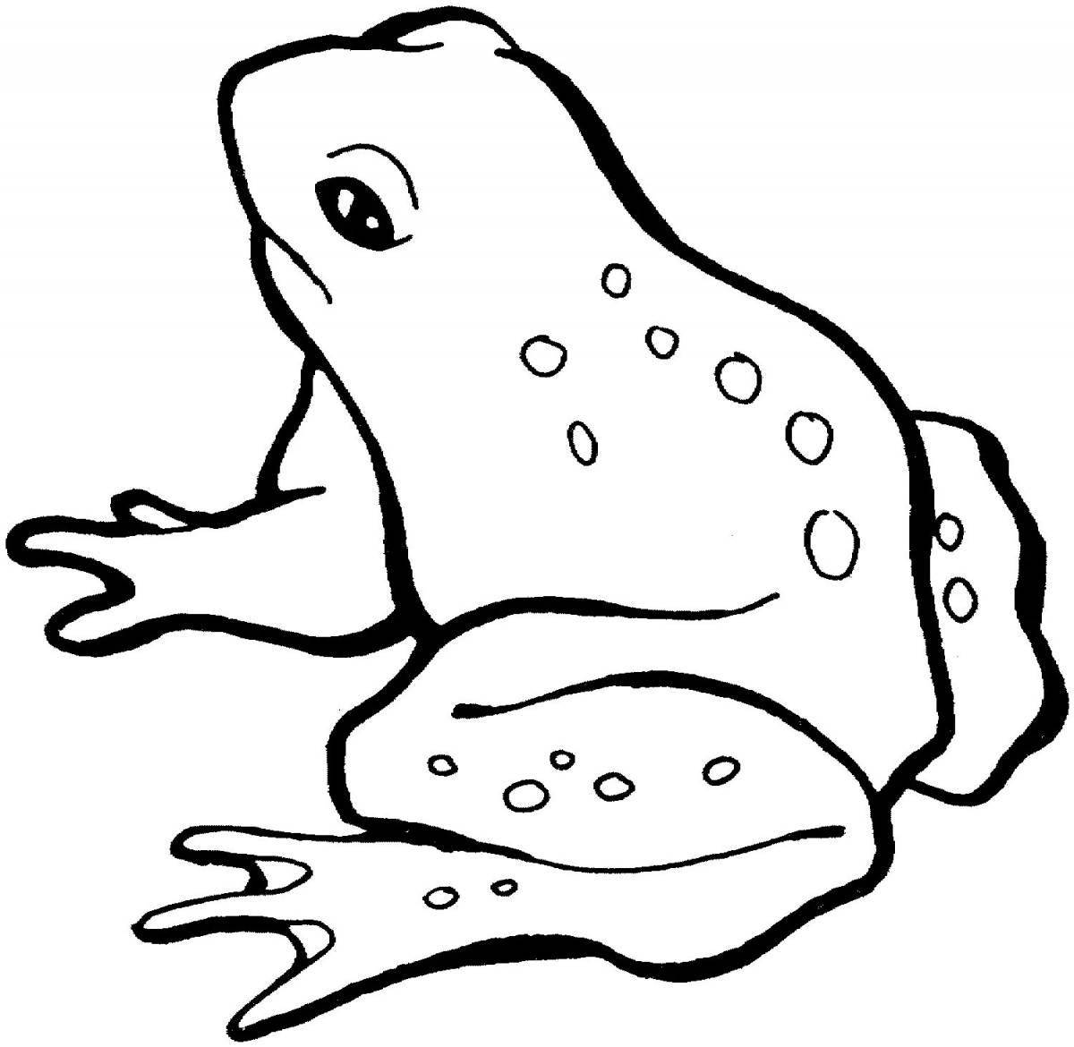 Fancy frog coloring page