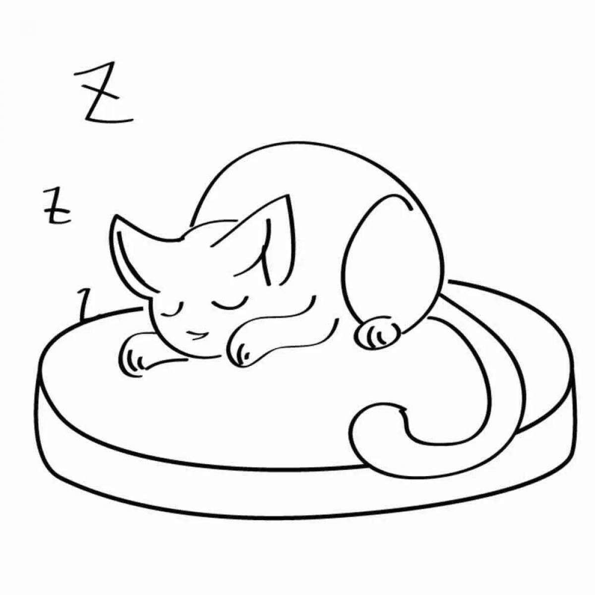 Раскраска уютный спящий кот