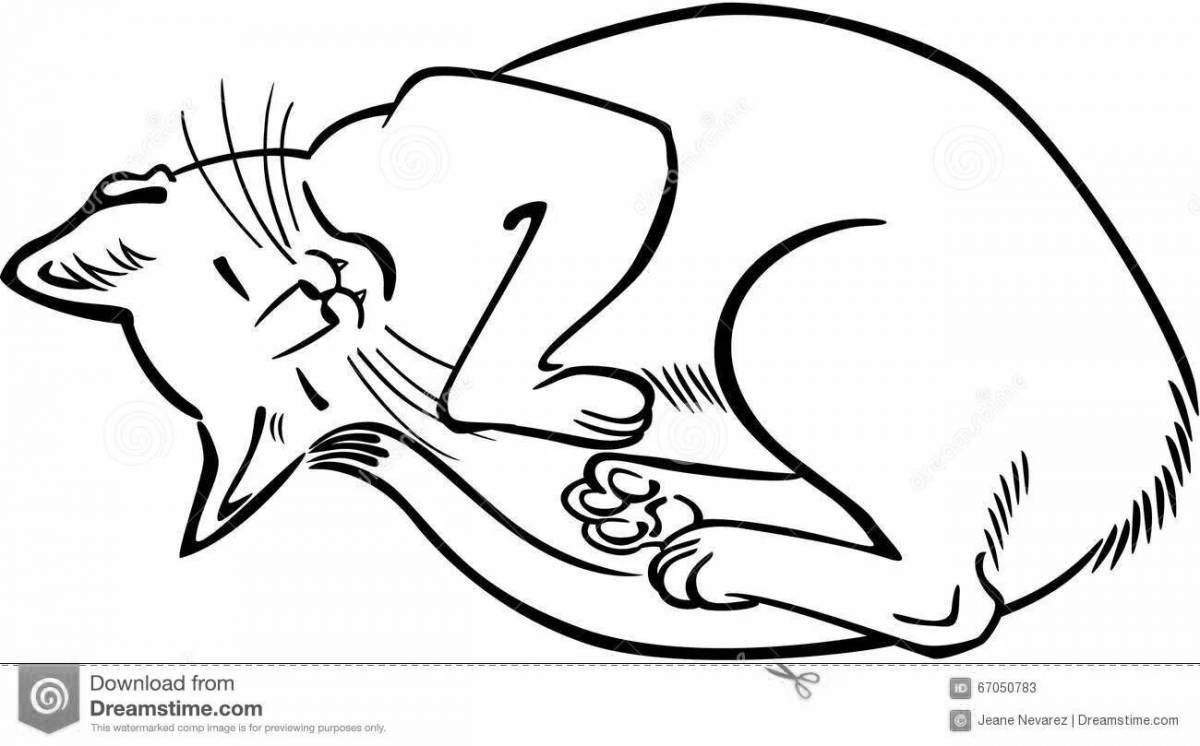 Coloring book dozing cat sleeping