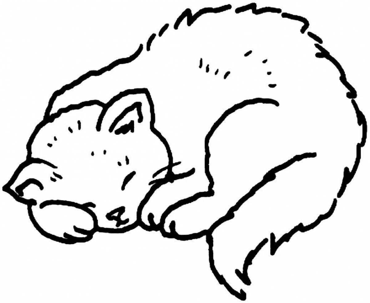 Раскраска лежащая кошка спит