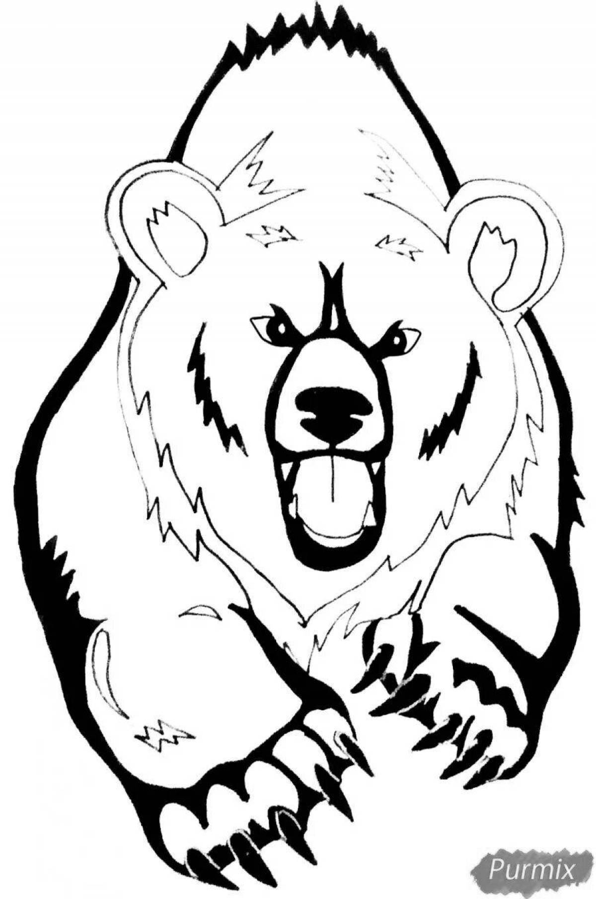 Яркая страница раскраски сердитого медведя