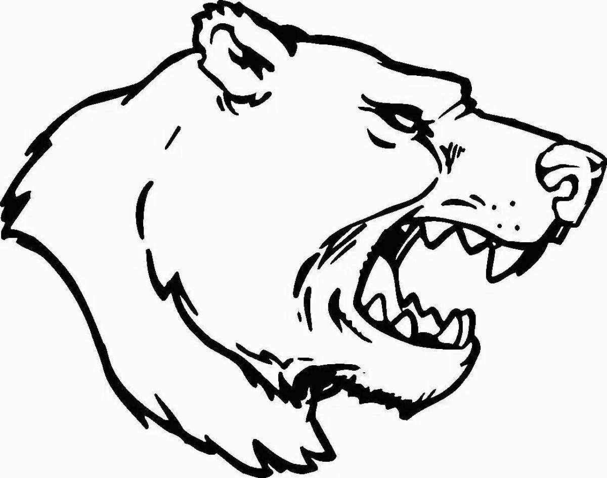 Раскраска «рычащий злой медведь»