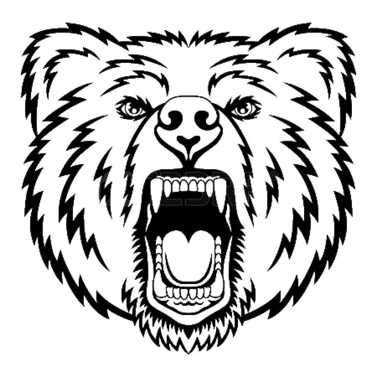 Colouring angry bear