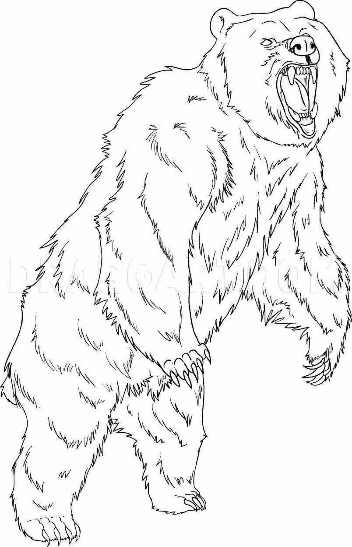 Раскраска злобный злой медведь