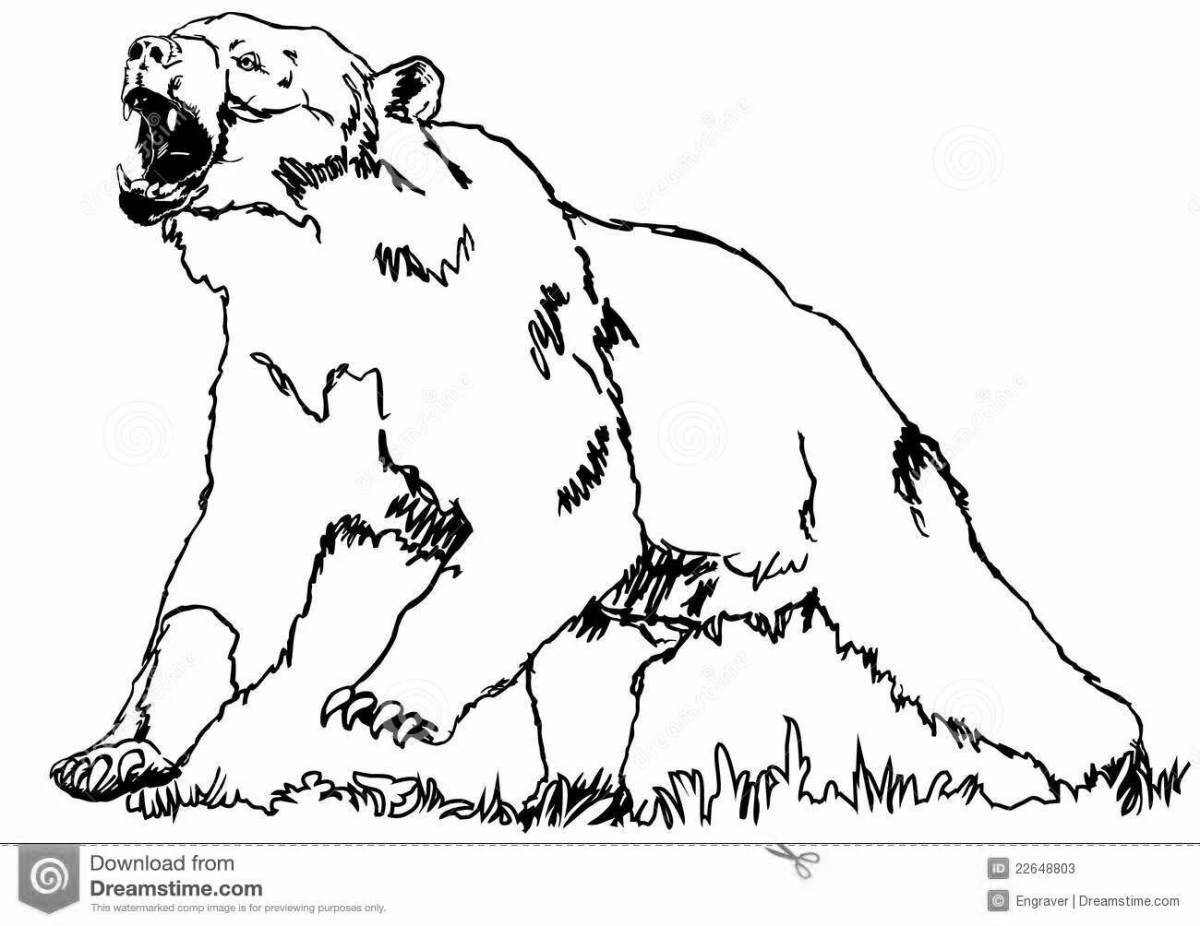 Coloring book aggressive angry bear