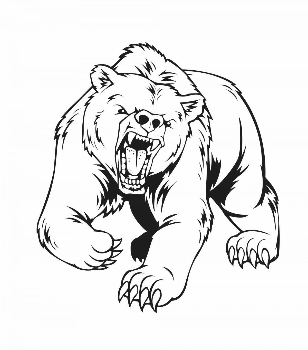 Раскраска дикий злой медведь
