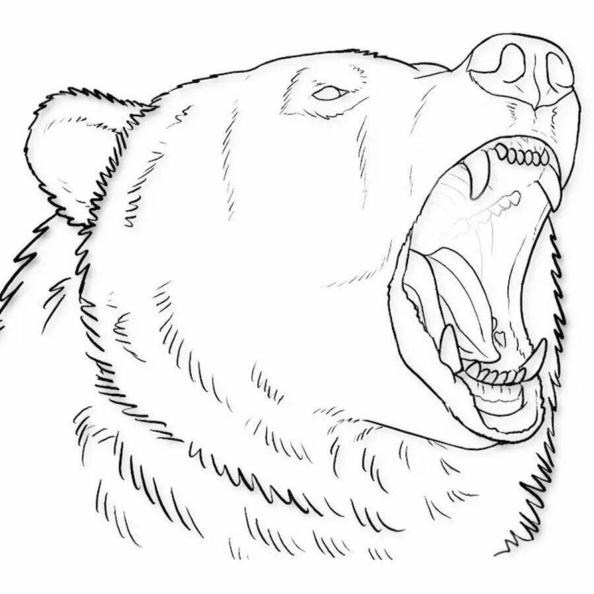 Coloring book irritable angry bear