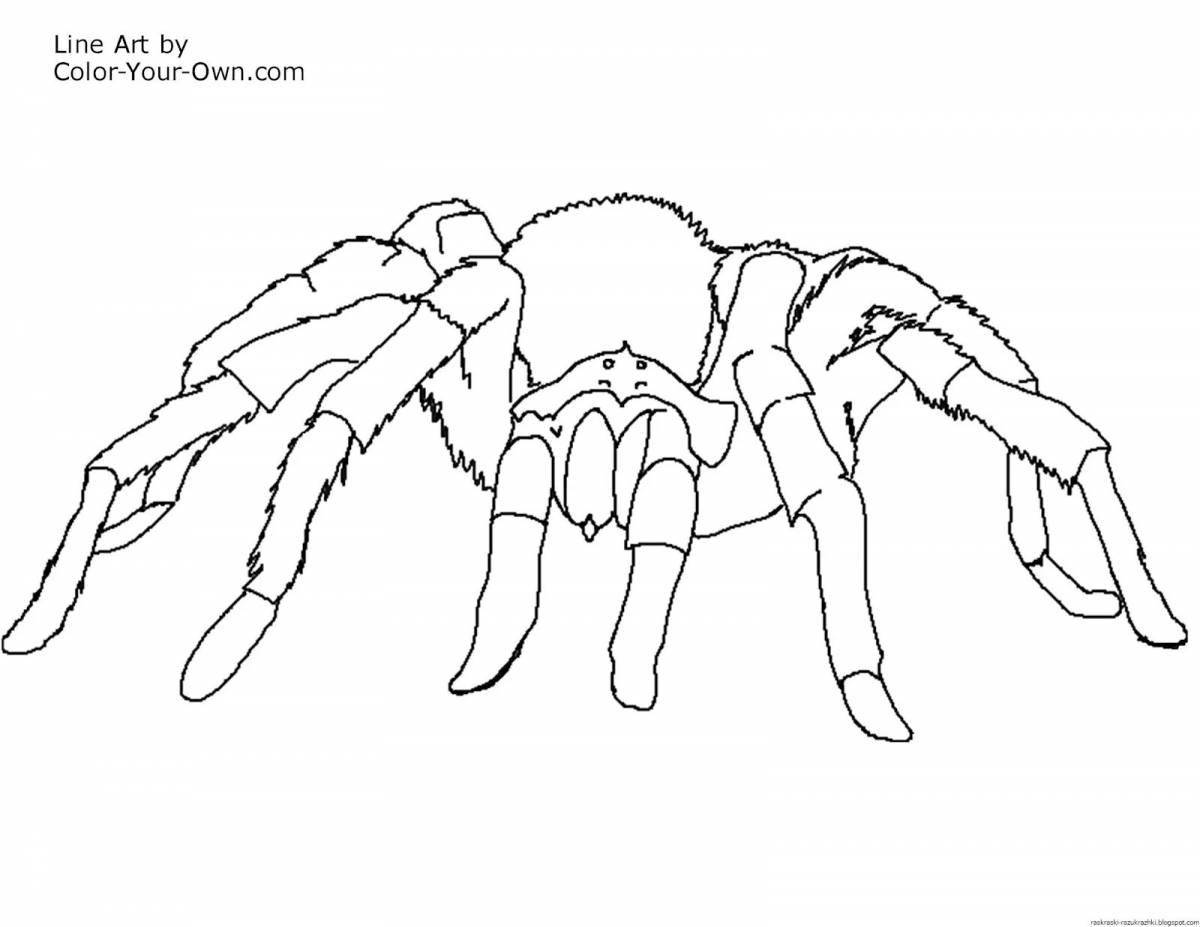 Coloring page scary spider
