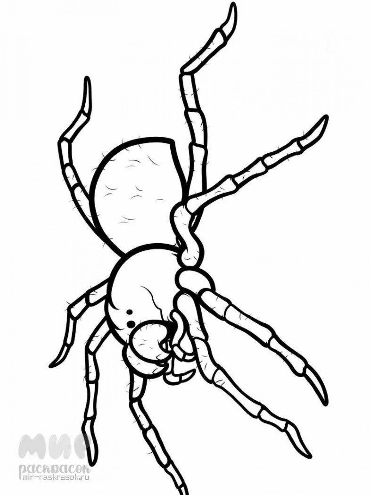 Раскраска угрожающий паук