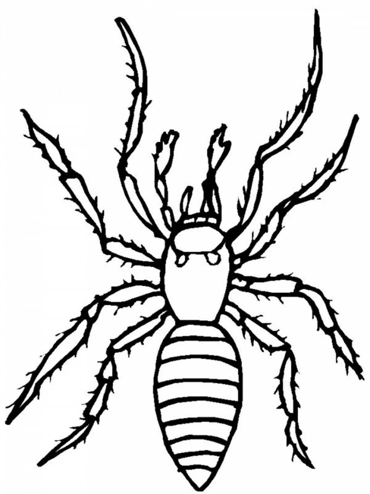 Terrifying spider coloring page