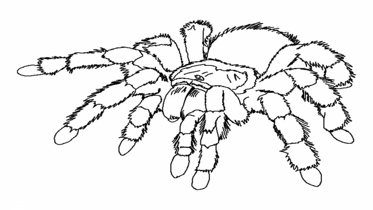 Раскраска ужасный паук