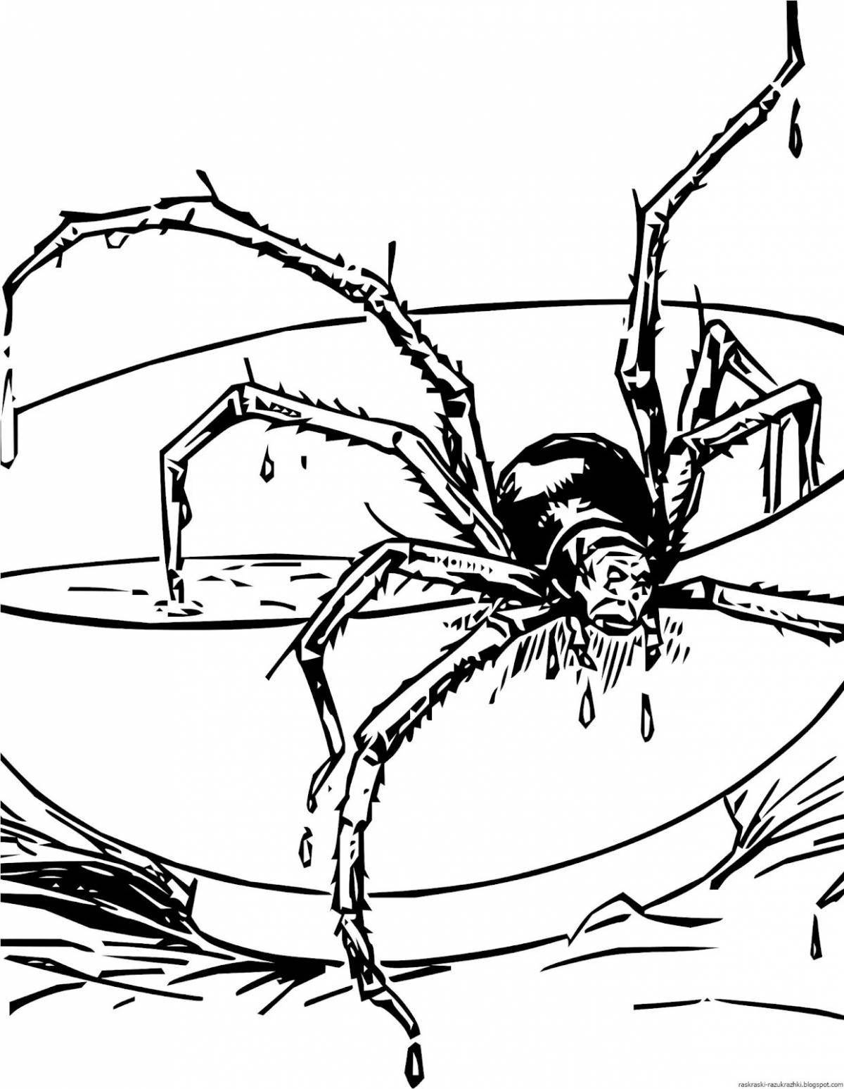 Coloring book repulsive spider
