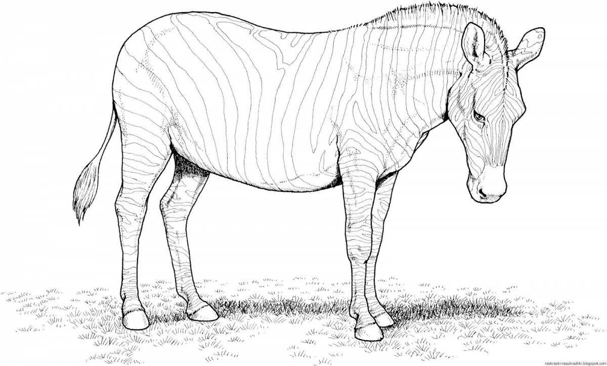 Cute animal coloring pages mammals