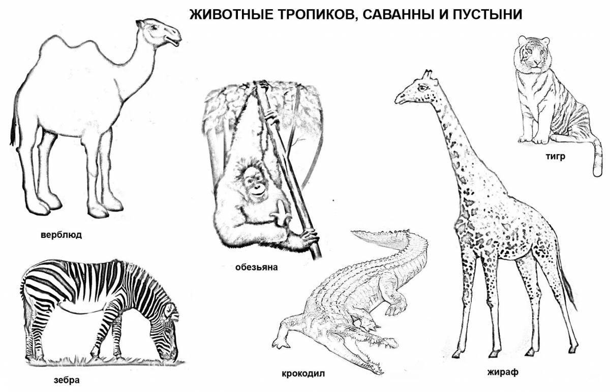 Living coloring animals mammals
