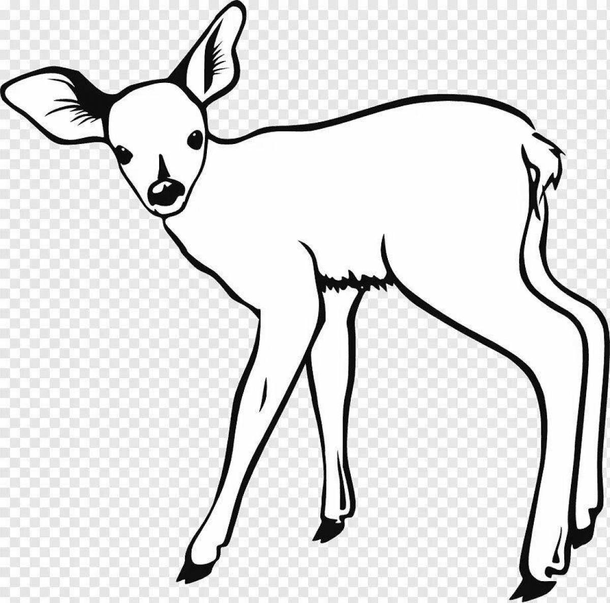 Fancy coloring animals mammals