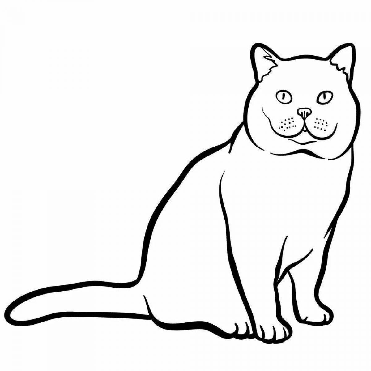 Coloring book fluffy british cat