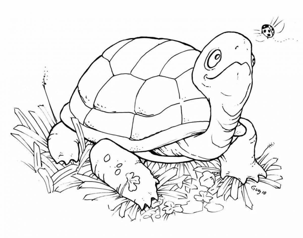 Glowing turtle coloring book