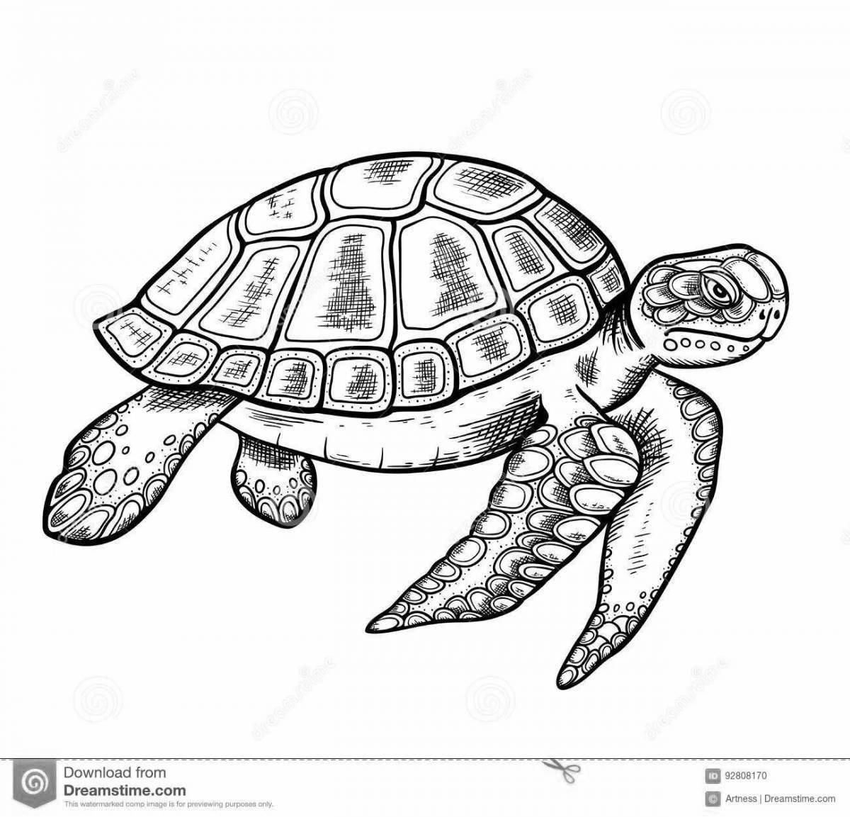Сверкающая черепаха-раскраска