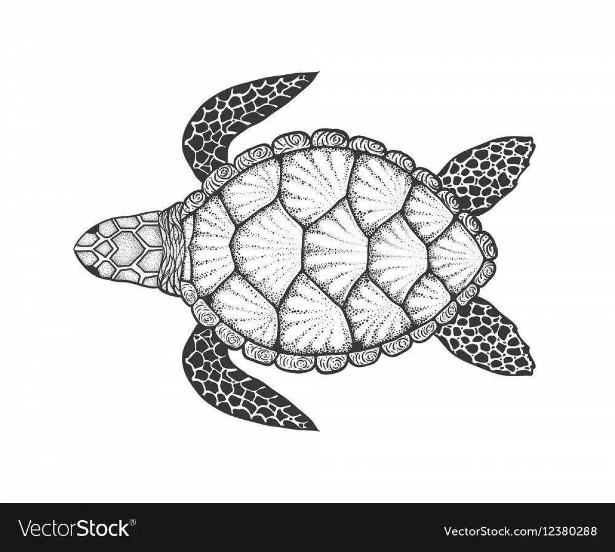 Sun coloring turtle