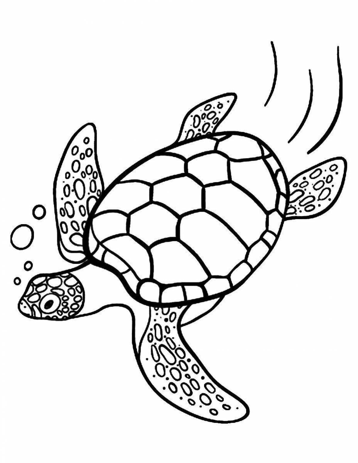 Blooming turtle coloring page