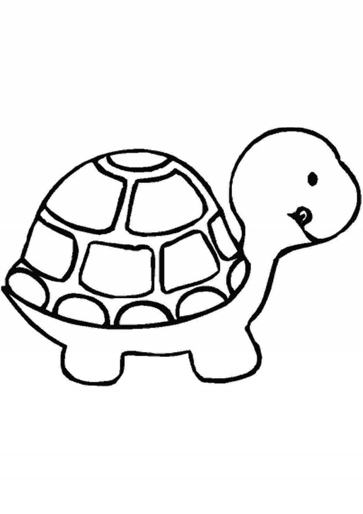 Animated turtle coloring book