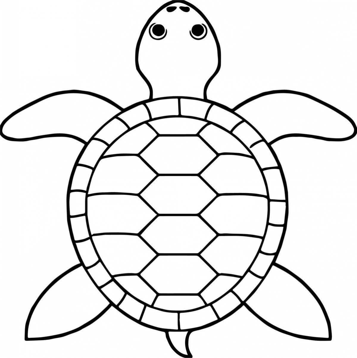 Анимированная раскраска черепаха