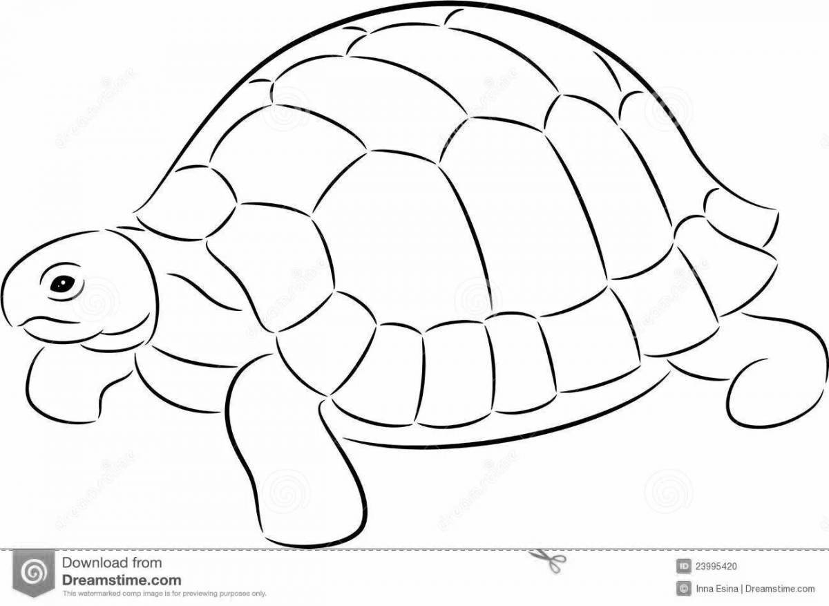 Праздничная раскраска черепаха