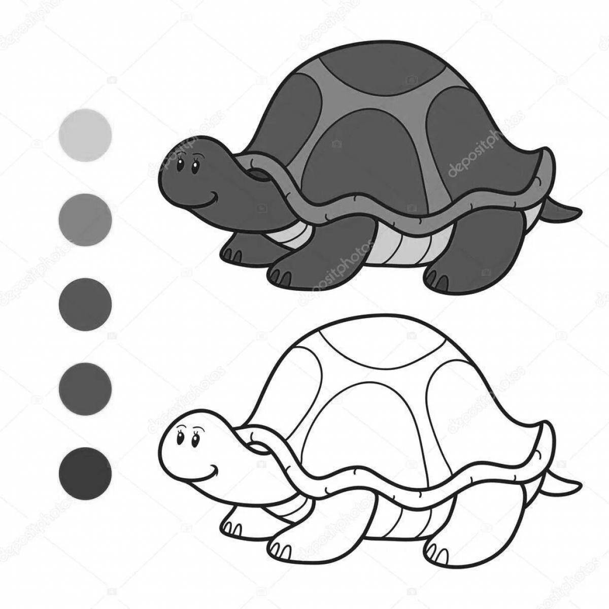 Большая черепаха-раскраска
