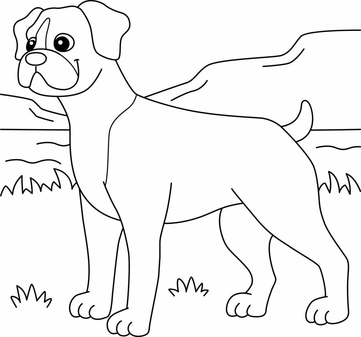 Coloring book brave boxer dog