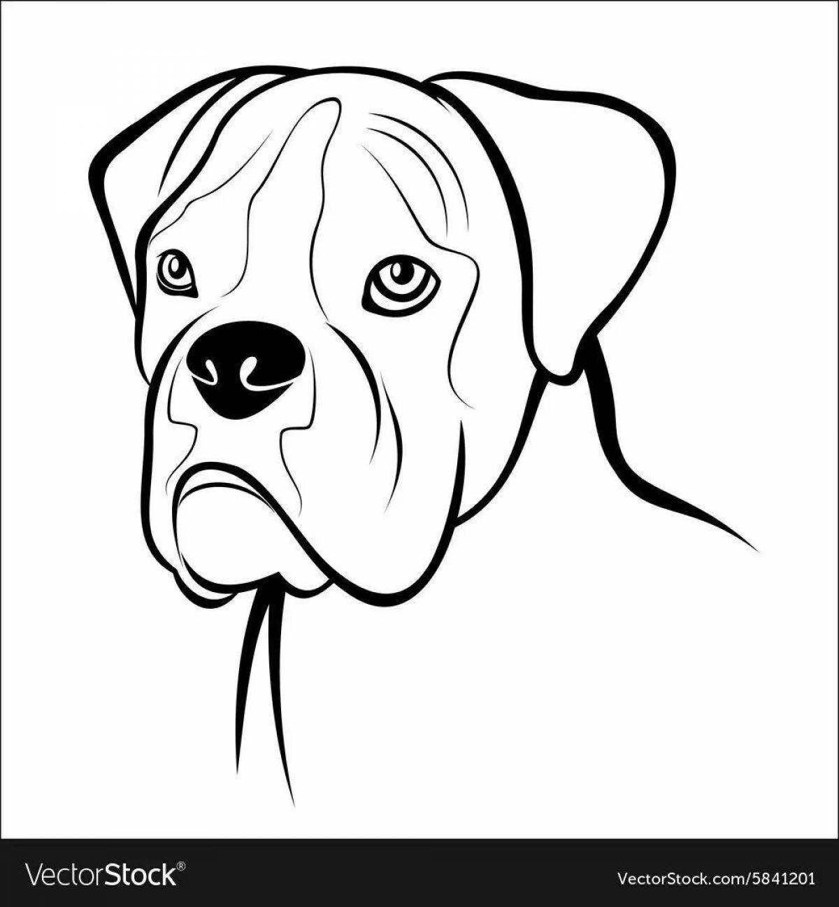 Coloring page energetic boxer