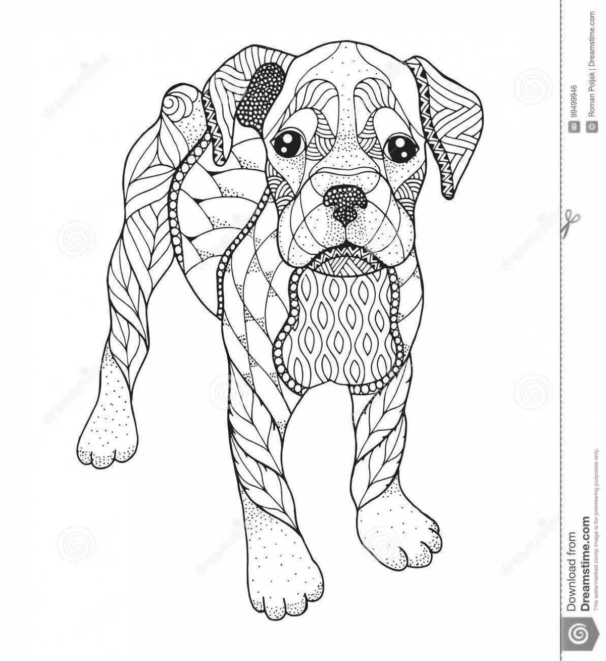 Boxer dog coloring page
