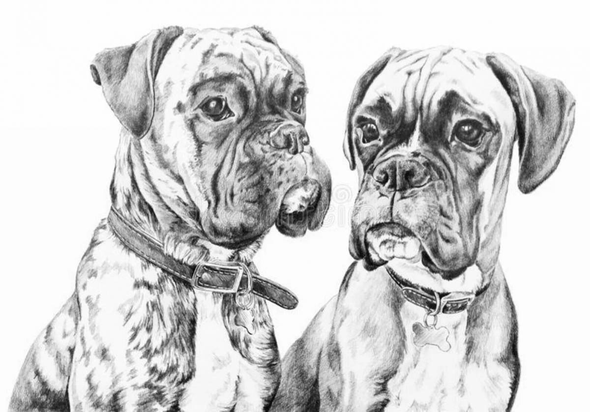 Coloring page friendly boxer