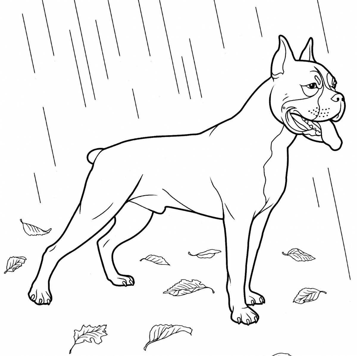 Coloring book witty boxer