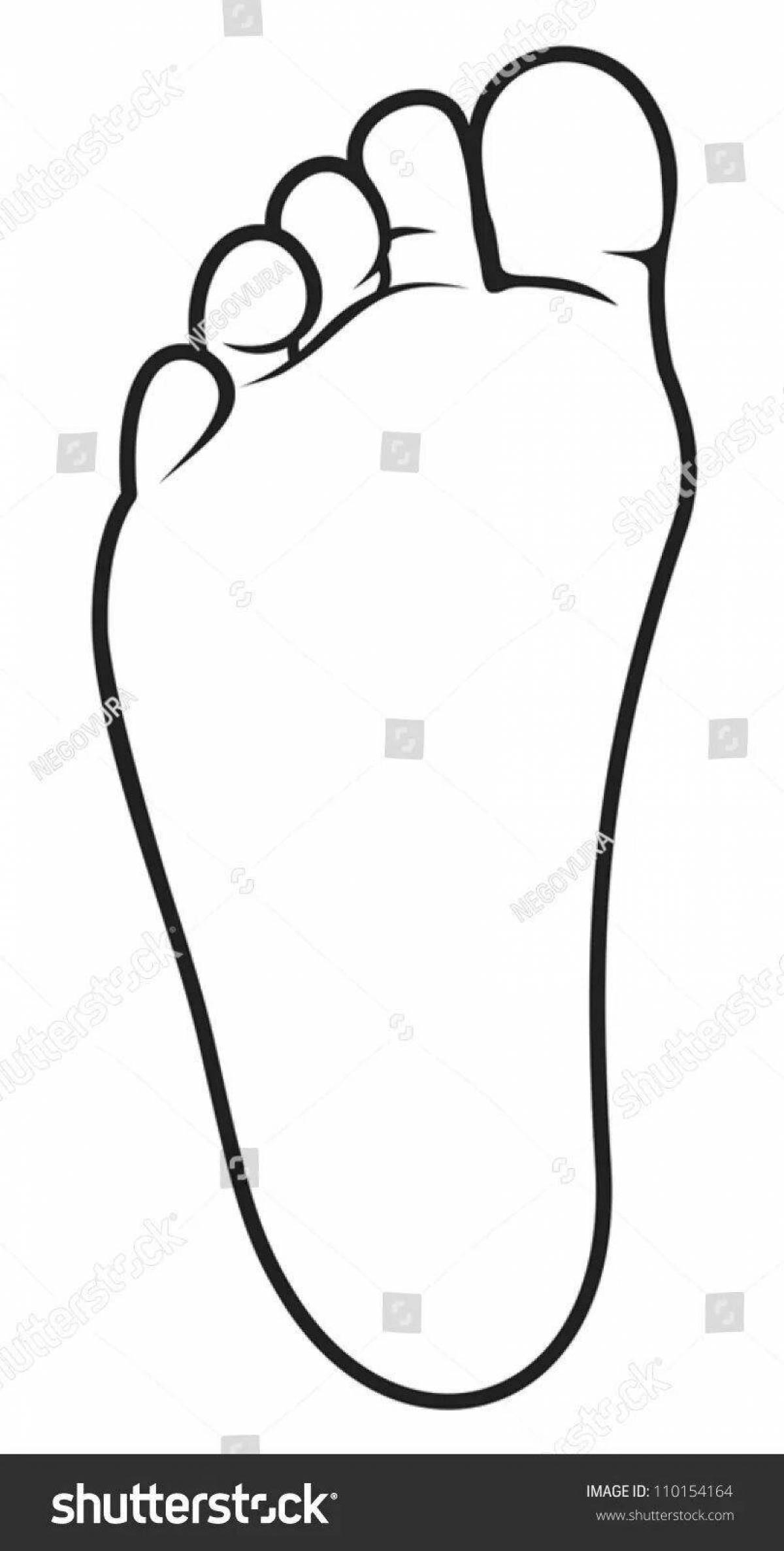 Coloring majestic right leg