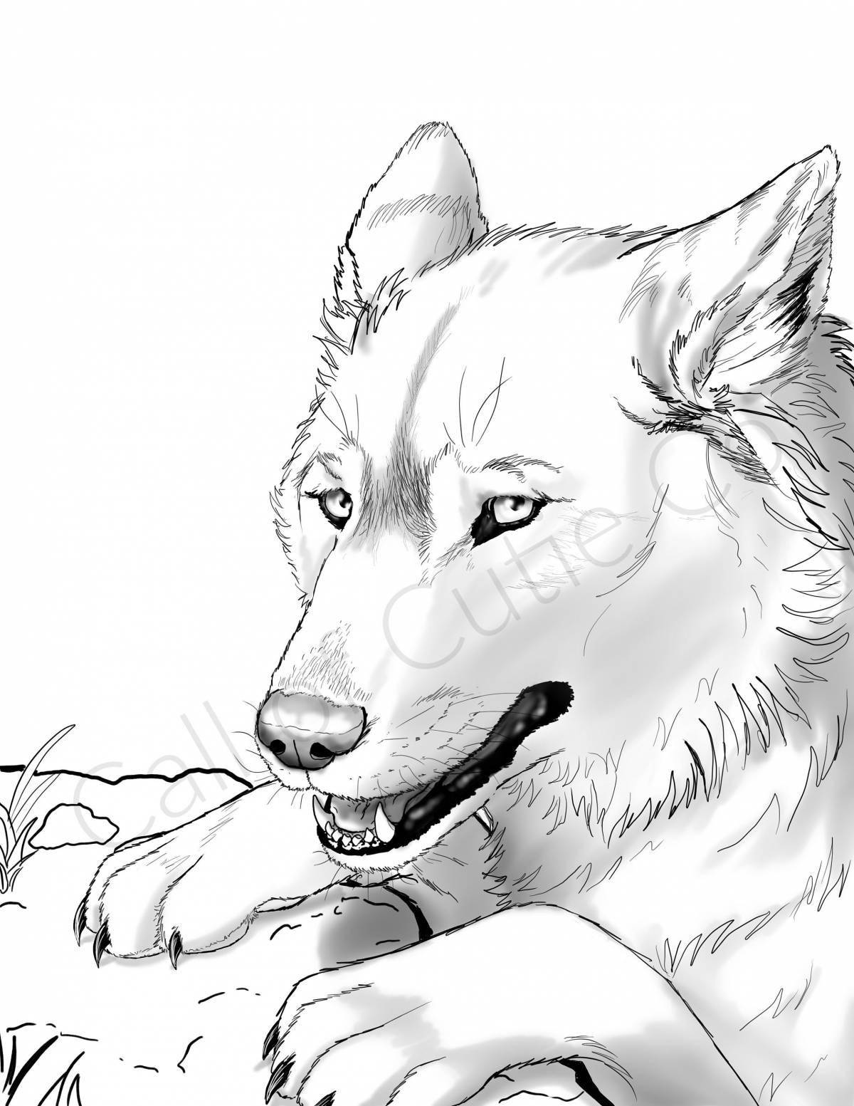 Great wolf simulator coloring book