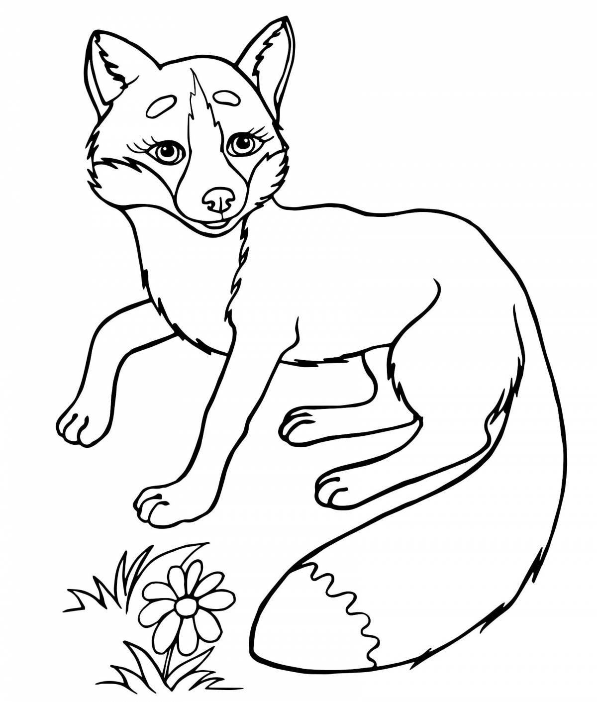 Colourful fox coloring book for kids