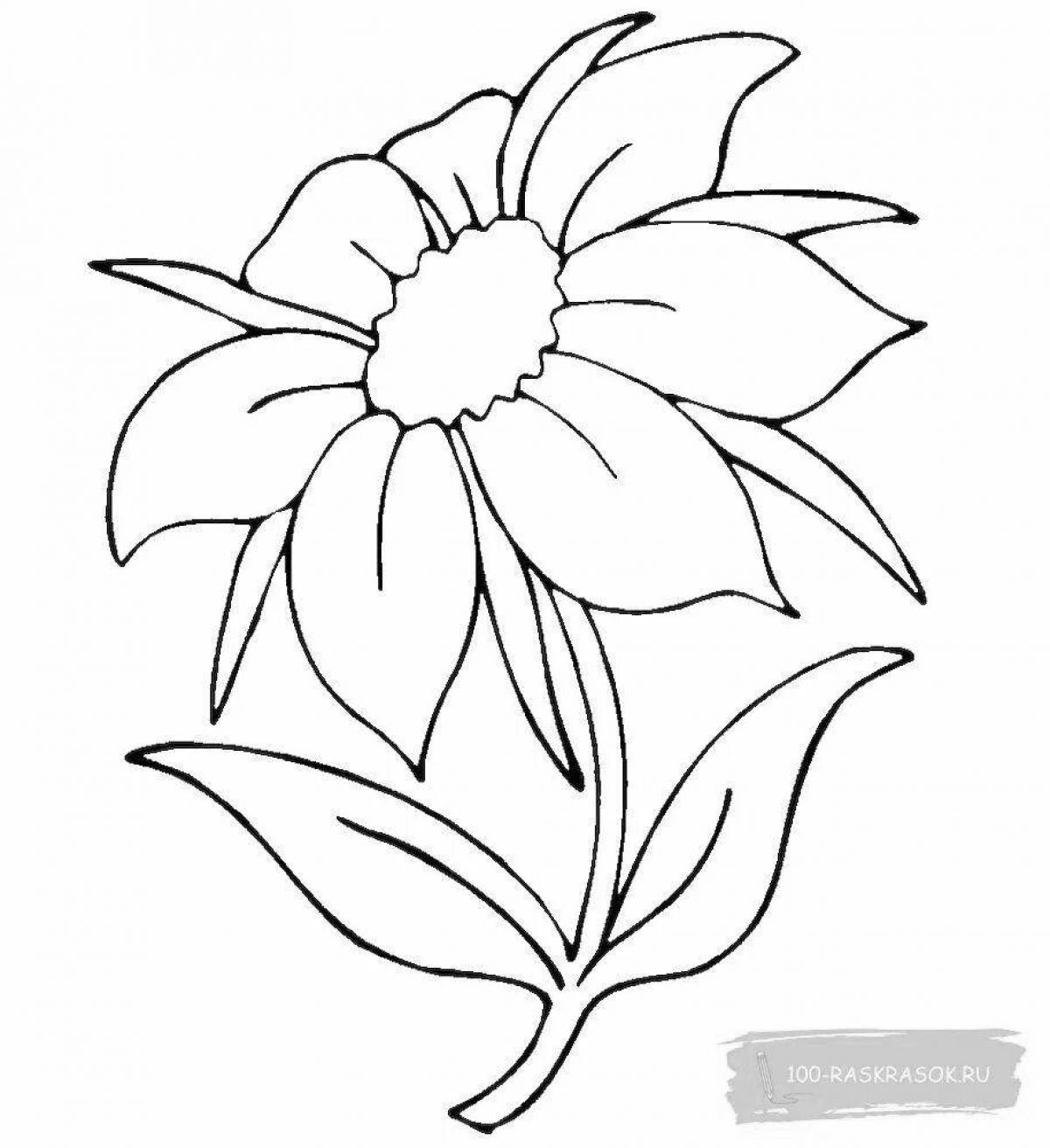 Раскраска Потрясающая раскраска цветок
