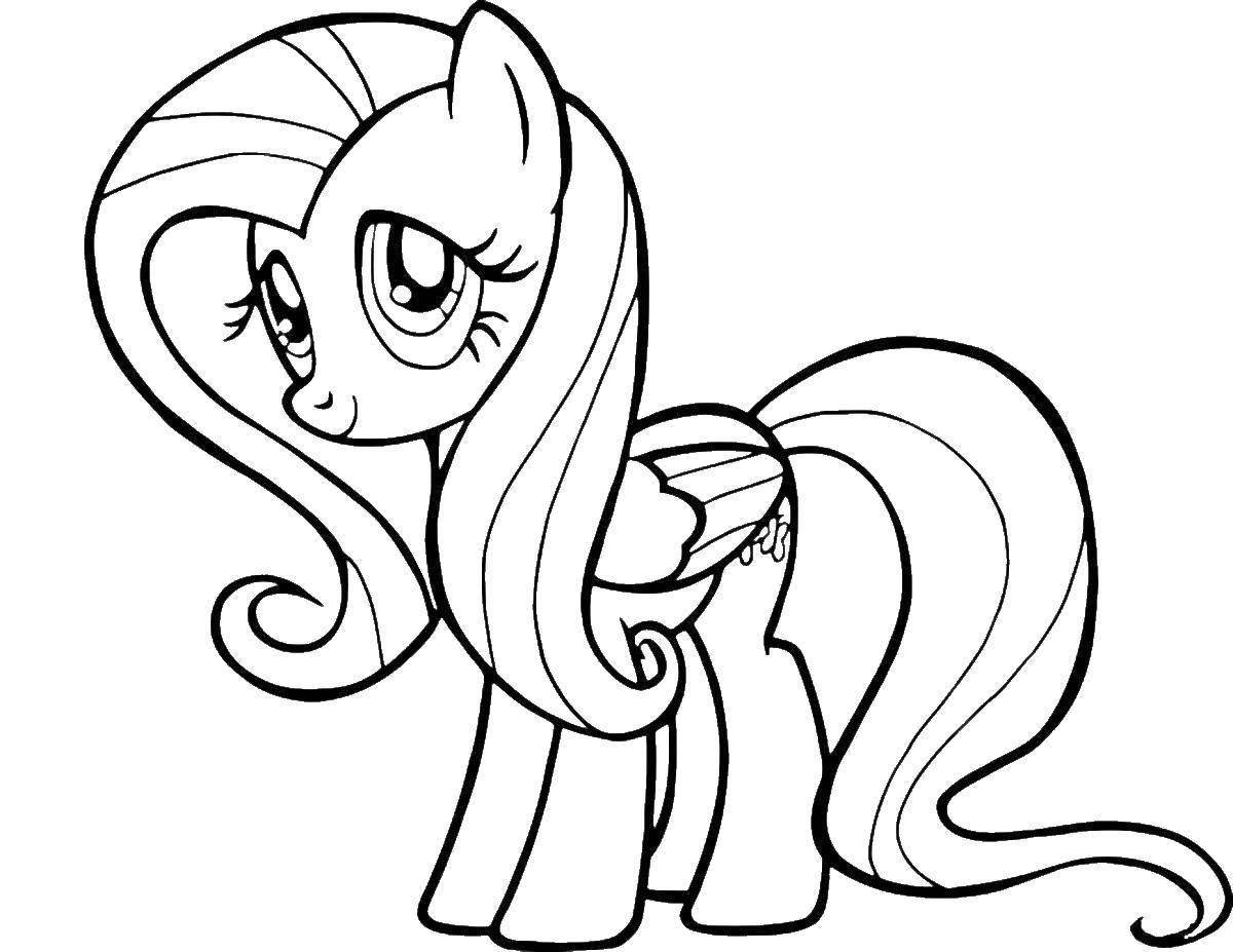 Adorable little pony coloring book